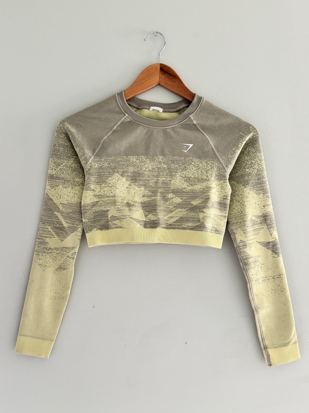 Gymshark Adapt Ombre Seamless Long Sleeve Crop Top S